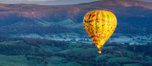 Dentist Listing Partner Yarra Valley Accommodation