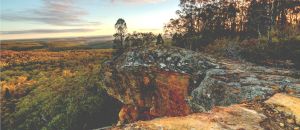 Dentist Listing Partner Goulburn Accommodation