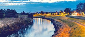 Dentist Listing Partner Maitland Accommodation