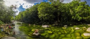Dentist Listing Partner Accommodation Daintree