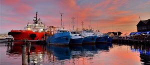 Dentist Listing Partner Accommodation Fremantle