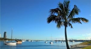 Dentist Listing Partner Accommodation Main Beach