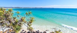Dentist Listing Partner Palm Beach Accommodation