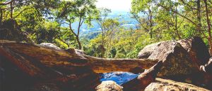 Dentist Listing Partner Accommodation Mount Tamborine