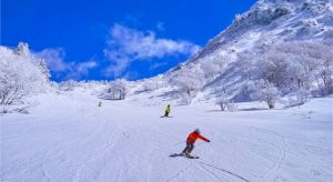 Dentist Listing Partner Accommodation Mt Buller