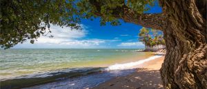 Dentist Listing Partner Whitsundays Tourism