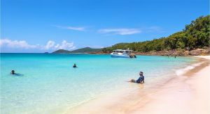 Dentist Listing Partner Accommodation Whitsundays