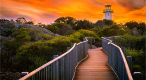 Dentist Listing Partner Tourism TAS