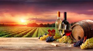 Dentist Listing Partner Winery Find