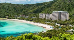 Dentist Listing Partner Accommodation Hamilton Island