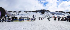 Dentist Listing Partner Perisher Accommodation