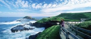 Dentist Listing Partner Phillip Island Accommodation